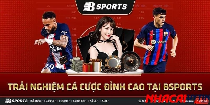 Bsport - Sự lựa chọn hàng đầu cho tân thủ mới